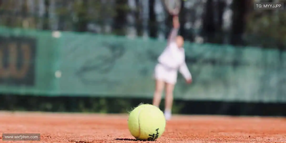 每一次点击都是冒险，每一个关卡都是惊喜！🎯